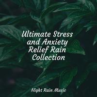 Ultimate Stress and Anxiety Relief Rain Collection