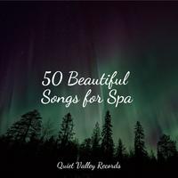 50 Beautiful Songs for Spa