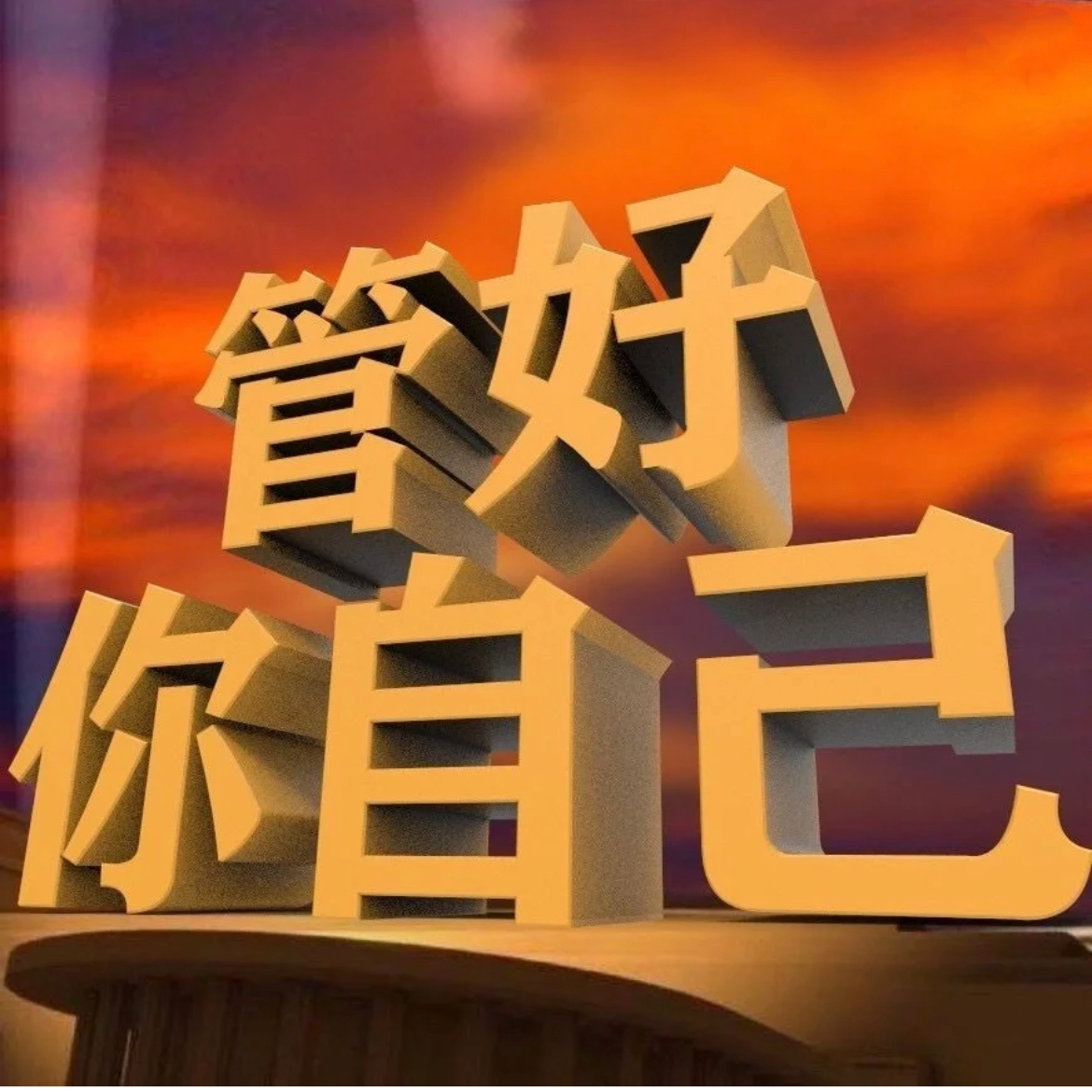 对号入座2.0DISS封面