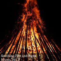 Soothing Fire and Birds Music, Vol. 8