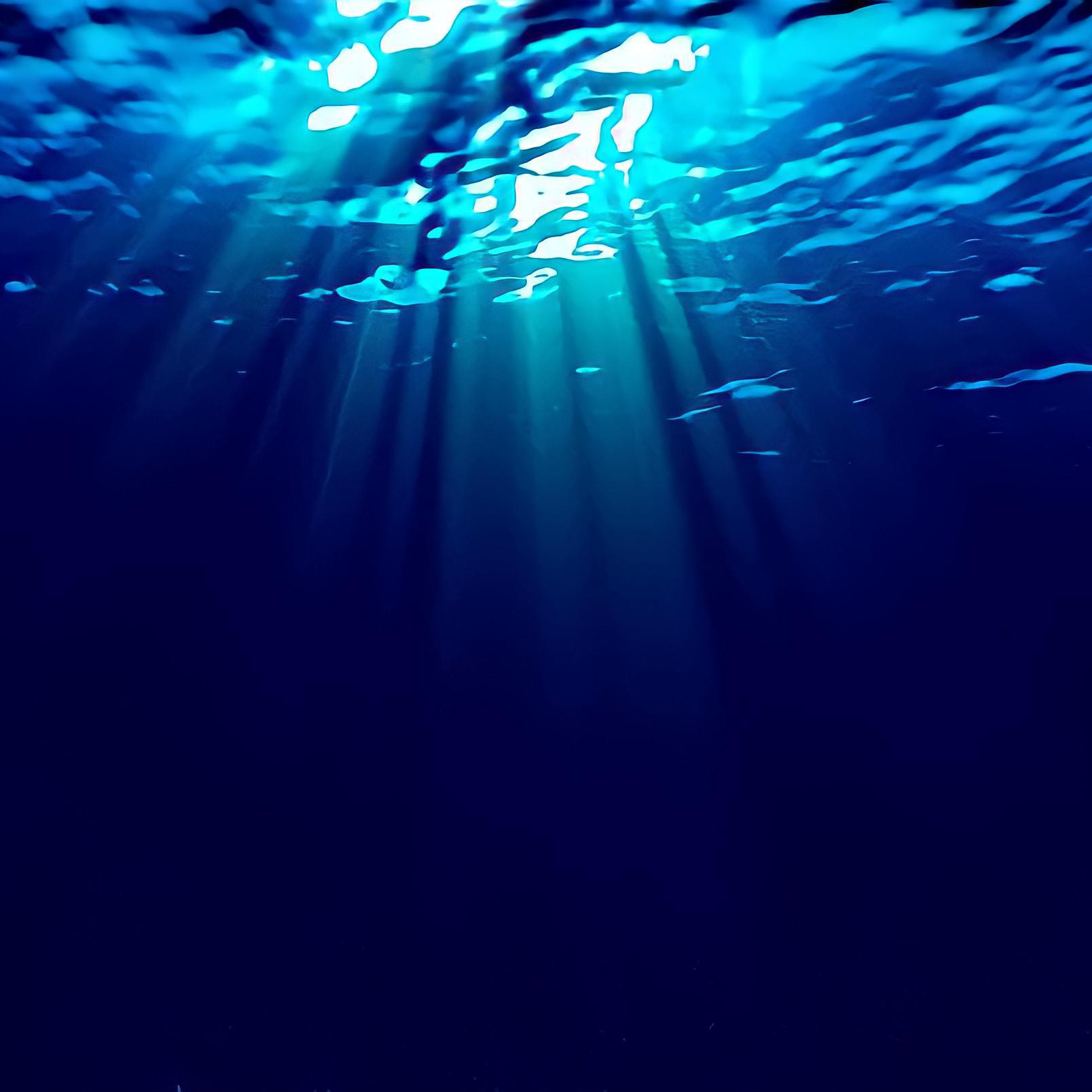 Под водой гиф