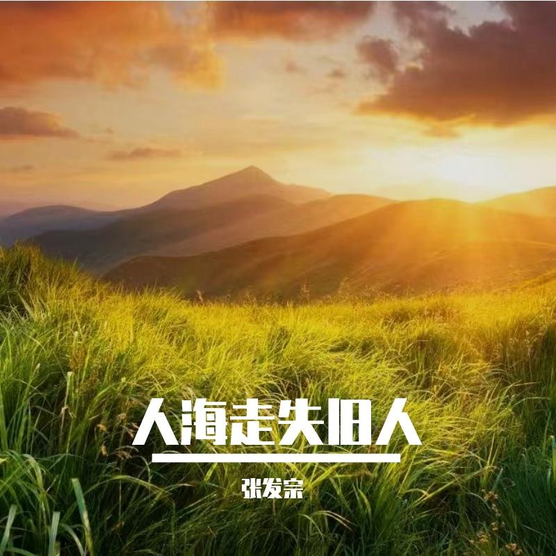 破晓迎接新生 - 张发宗封面