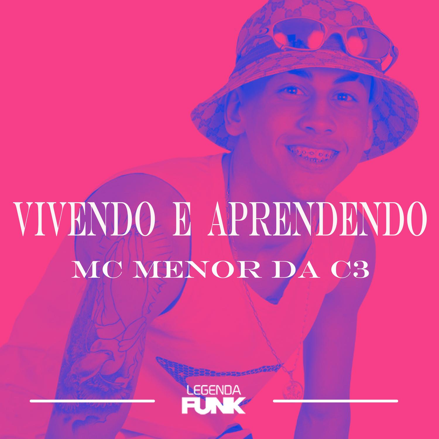 Vivendo e Aprendendo