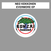 Neo Kekkonen - Morning High