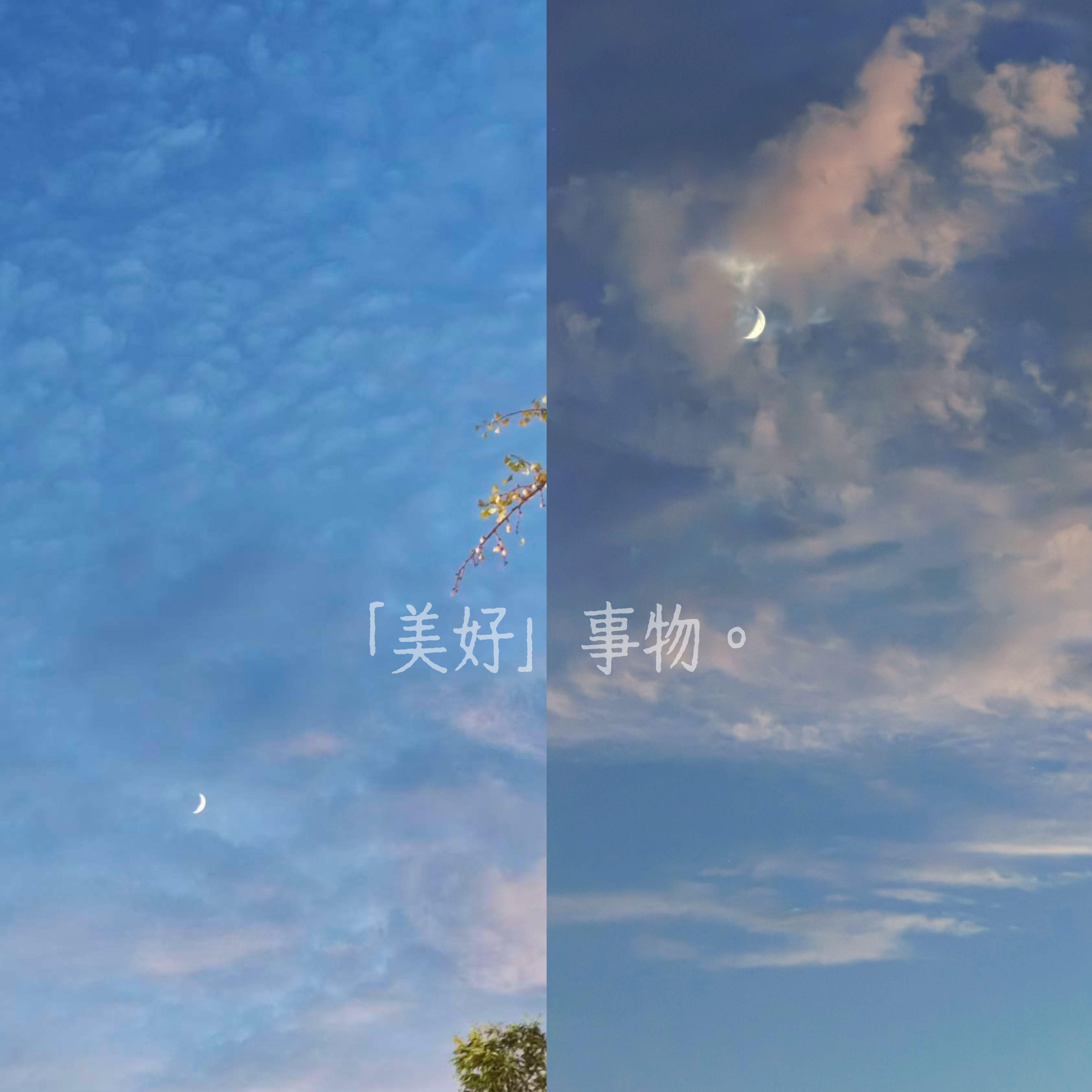 蝴蝶飞呀+红蜻蜓封面