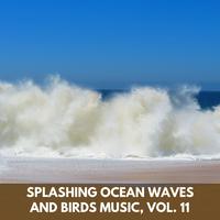 Splashing Ocean Waves and Birds Music, Vol. 11