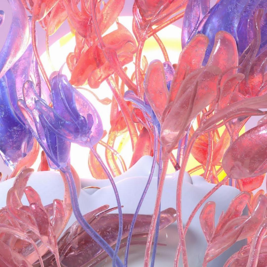 【Free】’Splash‘--Kodak Black type beat