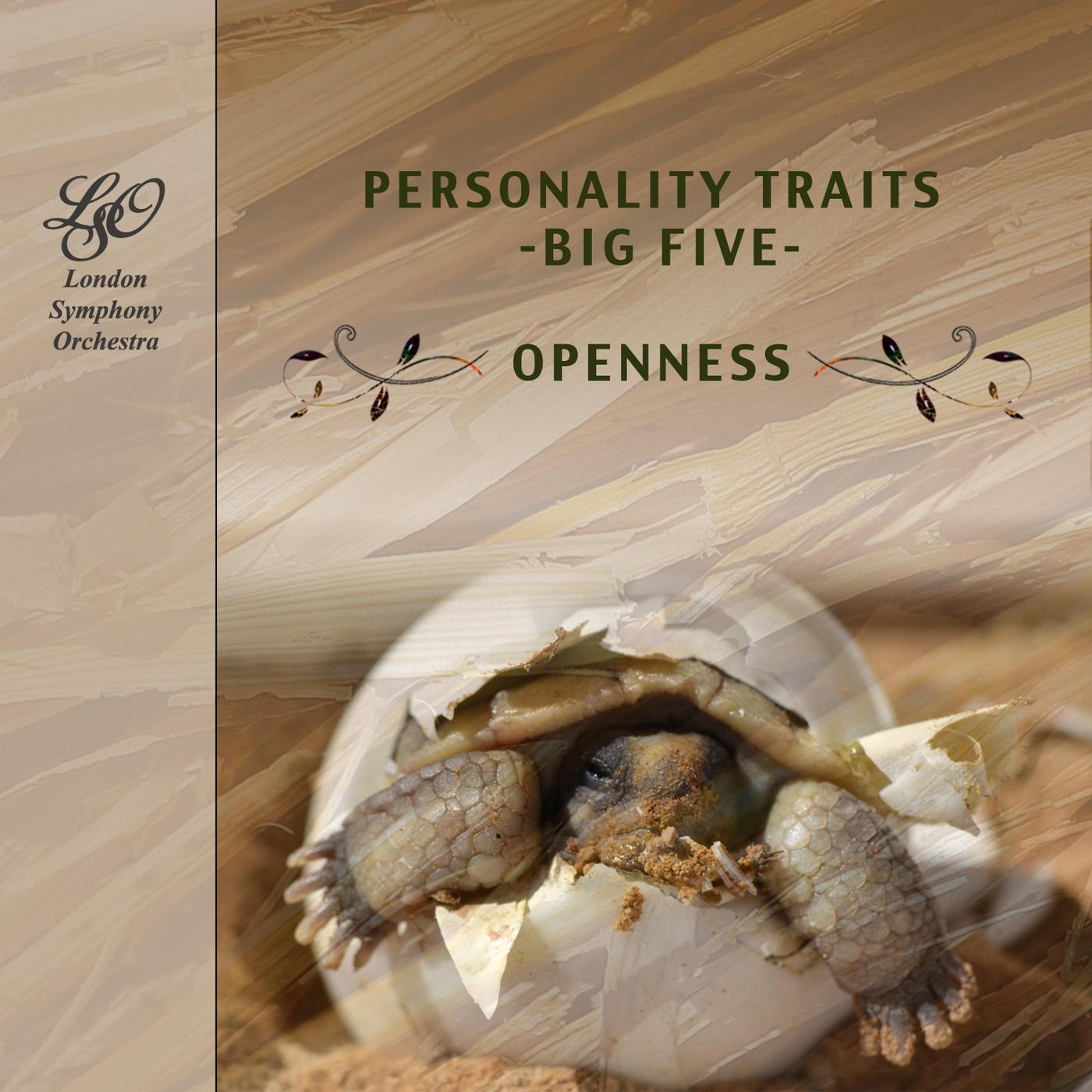 Turandot, SC 91: Nessun Dorma