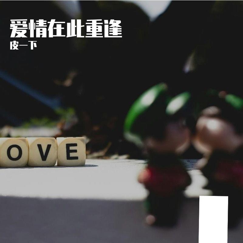 星光的海洋封面