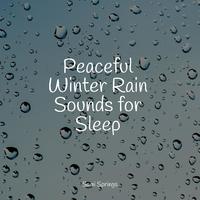 Peaceful Winter Rain Sounds for Sleep