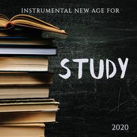 Instrumental New Age for Study 2020: Soft Instrumental Ambient Music for Study, Concentration and Brain Power, Cello & Saxophone Gentle Melodies for Total Relaxation, Inner Focus, Stress Relief, Calm Down