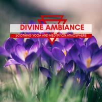 Divine Ambiance - Soothing Yoga And Meditation Atmosphere