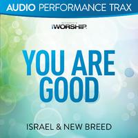 You Are Good [Audio Performance Trax]