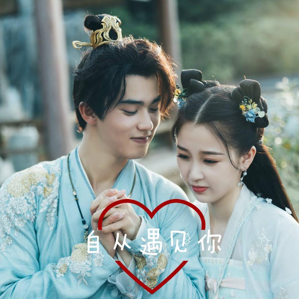 自从遇见你《少主且慢行》cover集封面