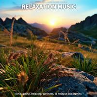 #01 Relaxation Music for Napping, Relaxing, Wellness, to Release Endorphins