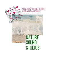 Nature Sound Studios - Melody From Deep Ocean Waters