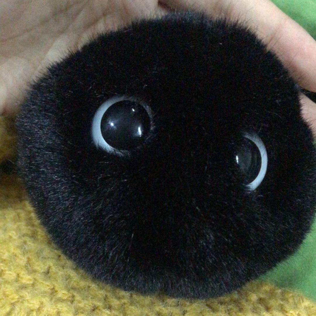 彩虹(全损版)封面