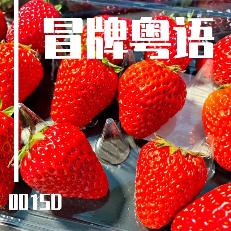 花火（粤语 女生清唱）封面