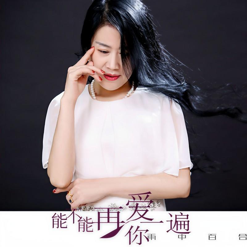 能不能再爱你一遍封面