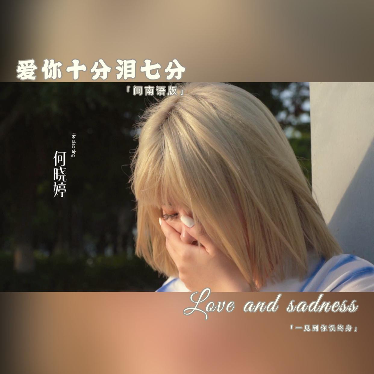 爱你十分泪七分（闽南语版）封面