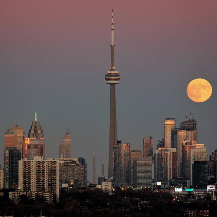 刻在我心底的名字