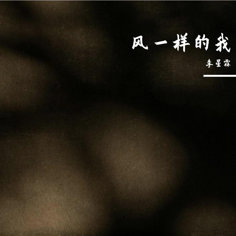 风一样的我封面