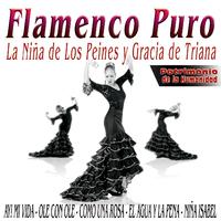 Flamenco Patrimonio De la Humanidad