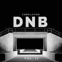 DnB Music Compilation, Vol. 17