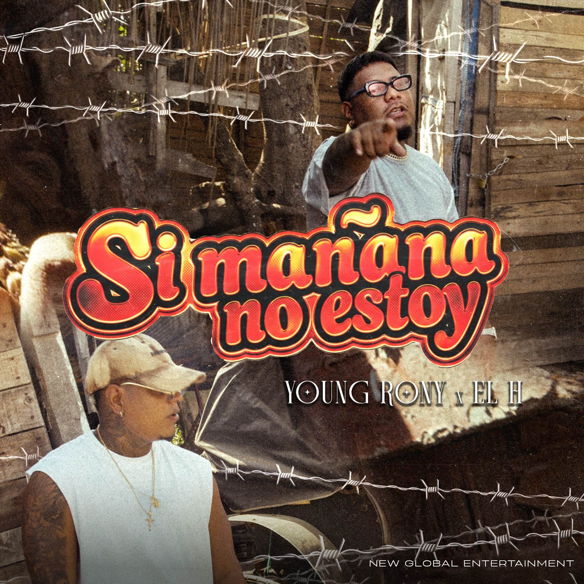 Si Mañana No Estoy