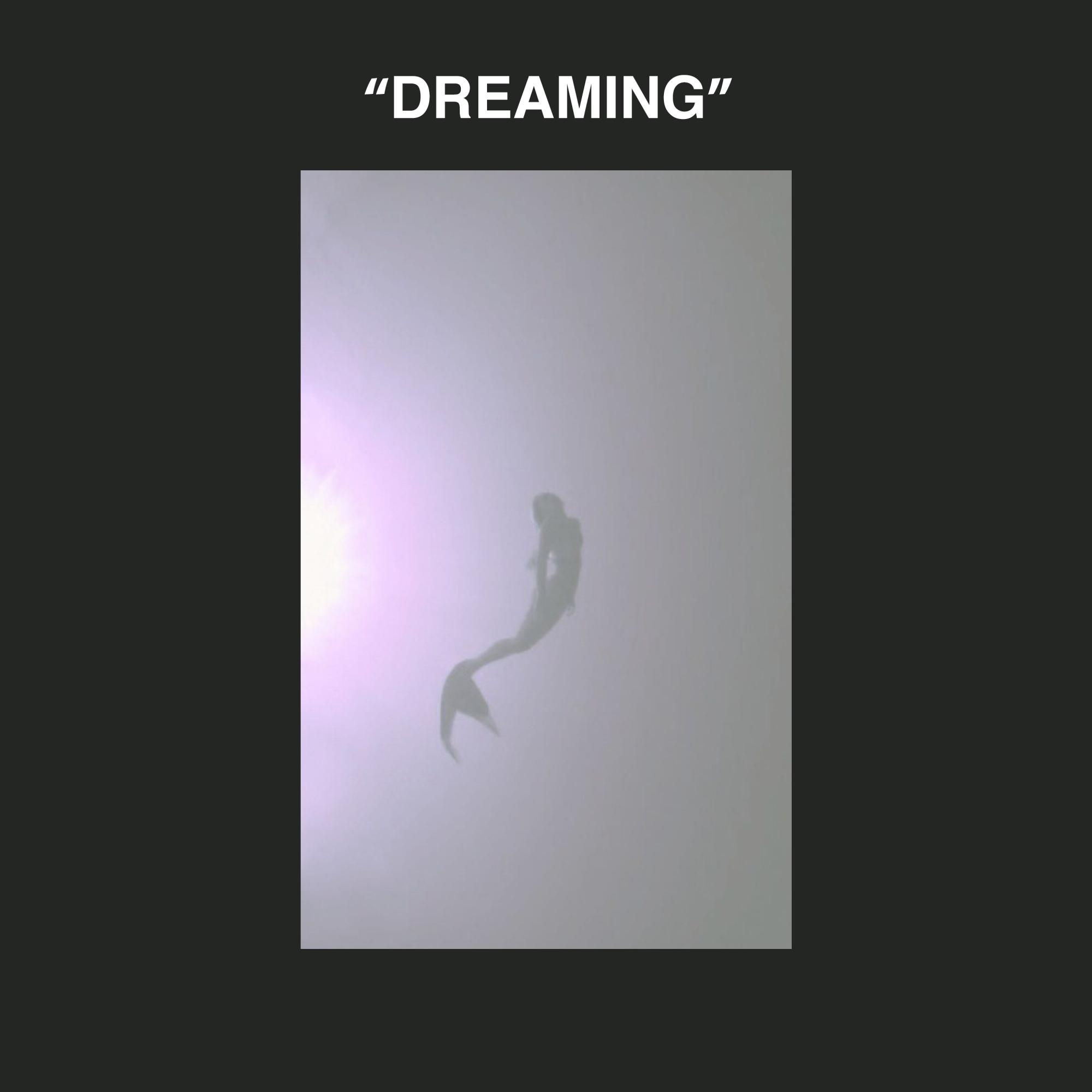 DREAMING (Instrumental)封面