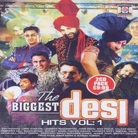 The Biggest Desi Hits, Vol.1