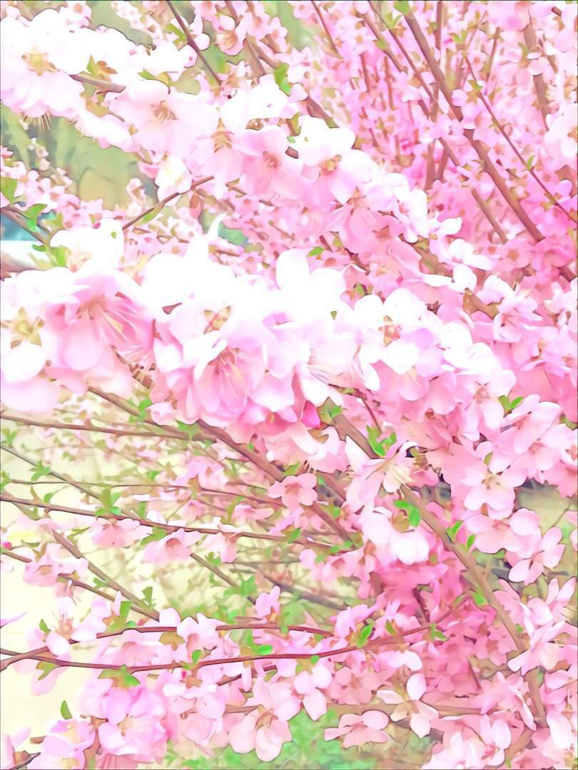 song-img