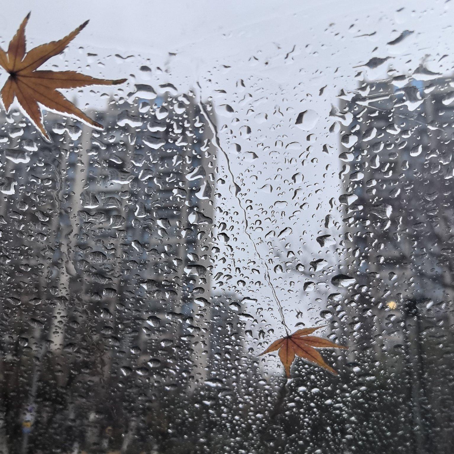 出路封面