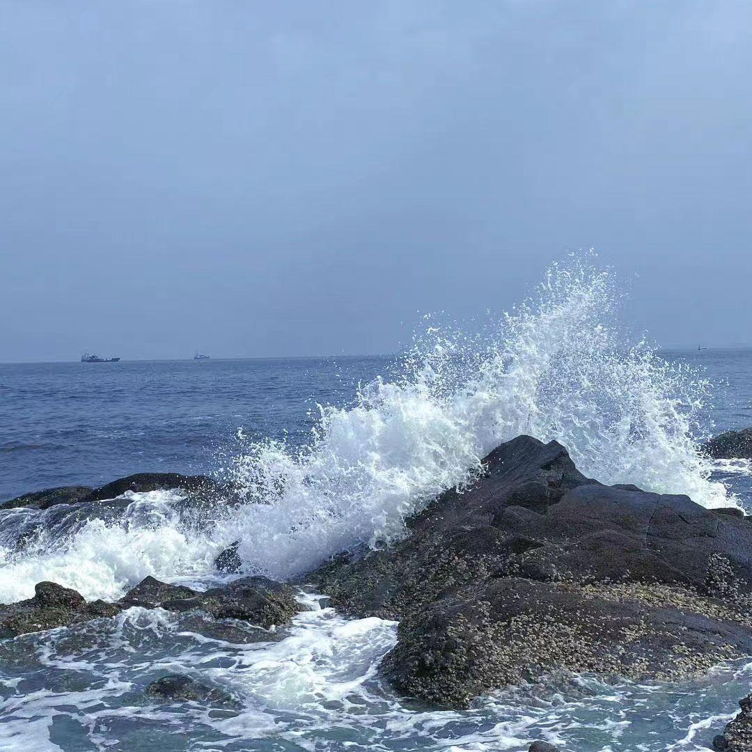 收藏(翻自:呆呆破)