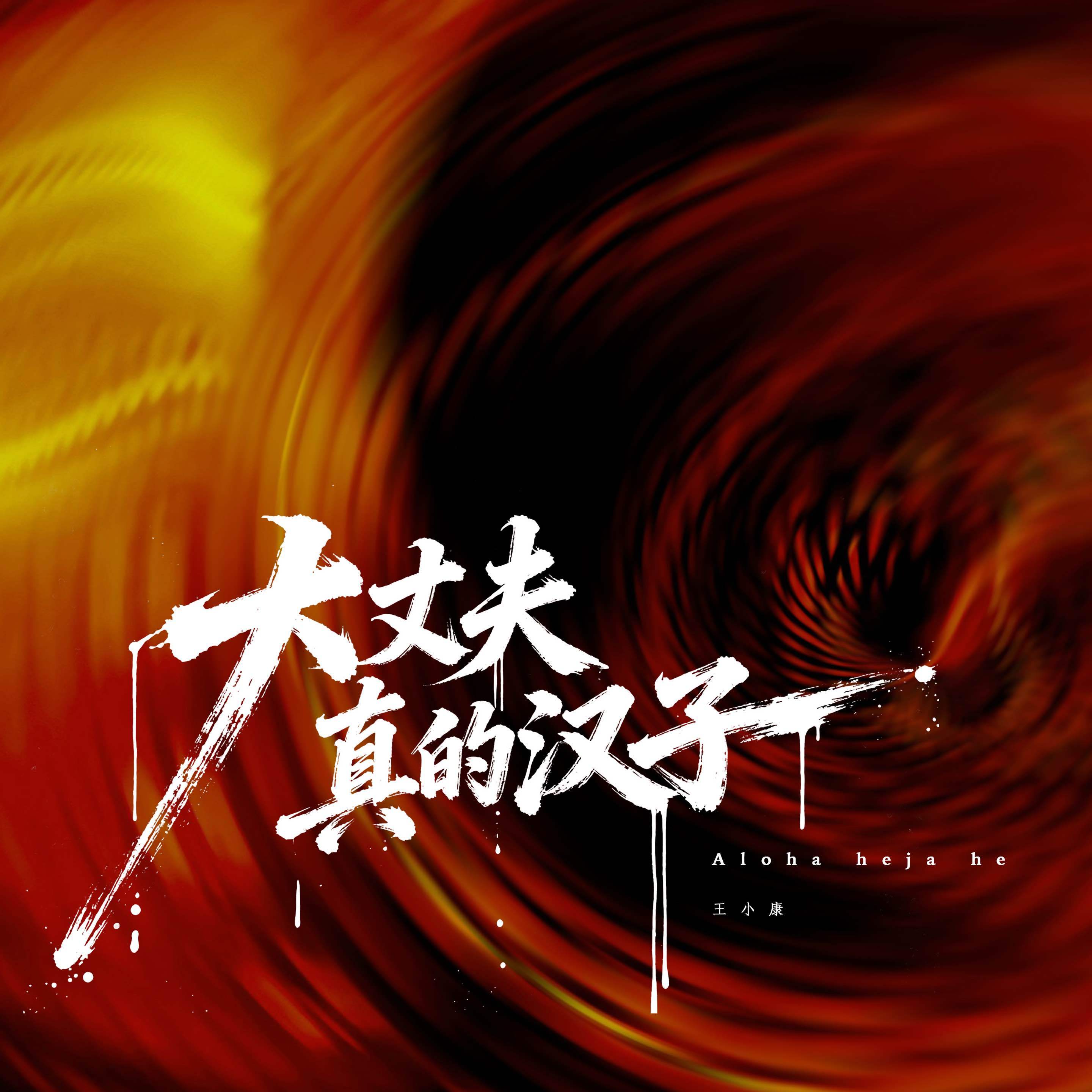 Aloha heja he / 大丈夫 / 真的汉子封面