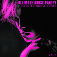 Ultimate House Party! - Vol.7