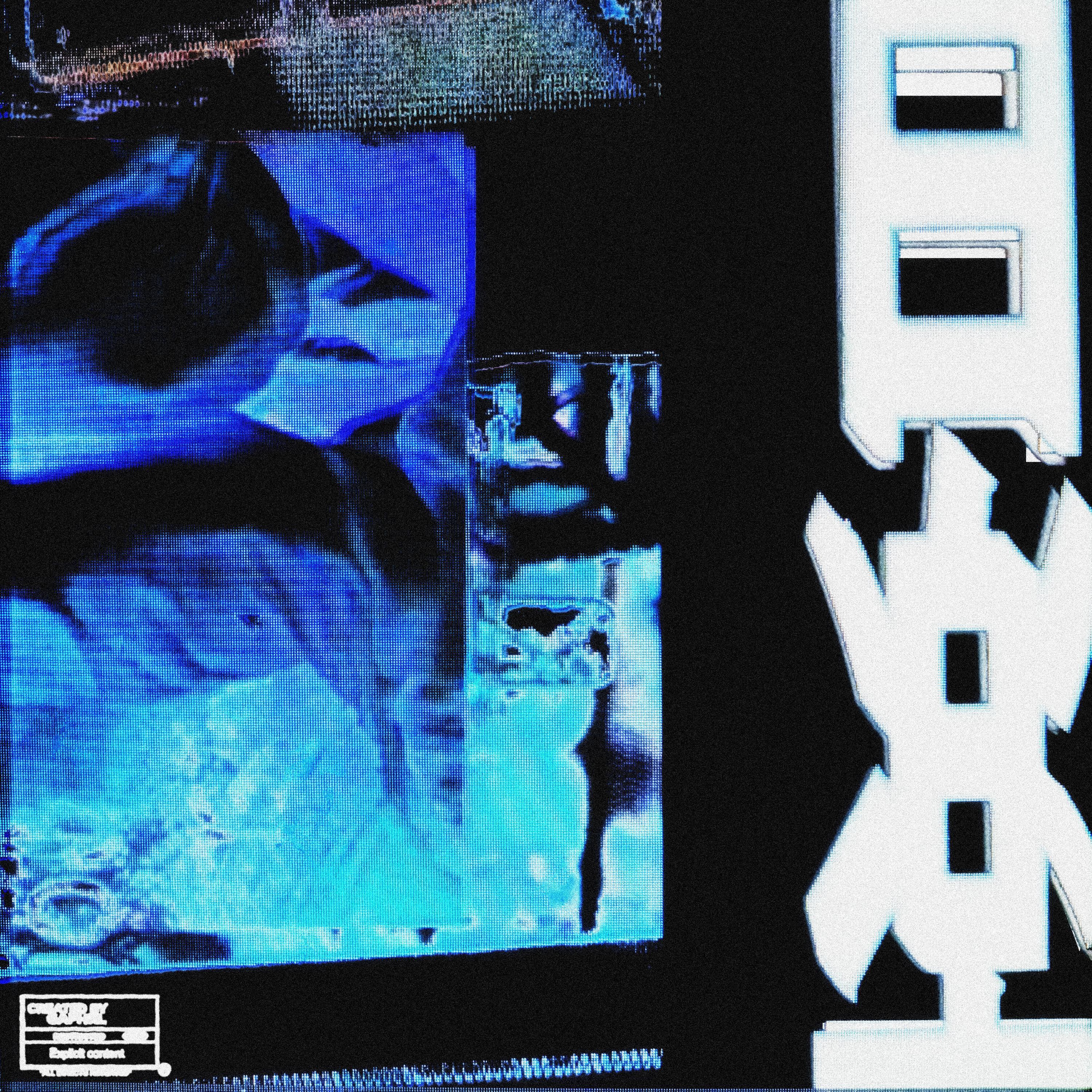 LUDMILLA (feat. netboy)