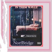 IN THEM WALLZ (feat. SPEAK LO & DEBE DOLLAZ)