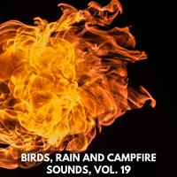 Birds, Rain and Campfire Sounds, Vol. 19