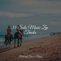 35 Solo Music Zen Tracks