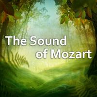 The Sound of Mozart