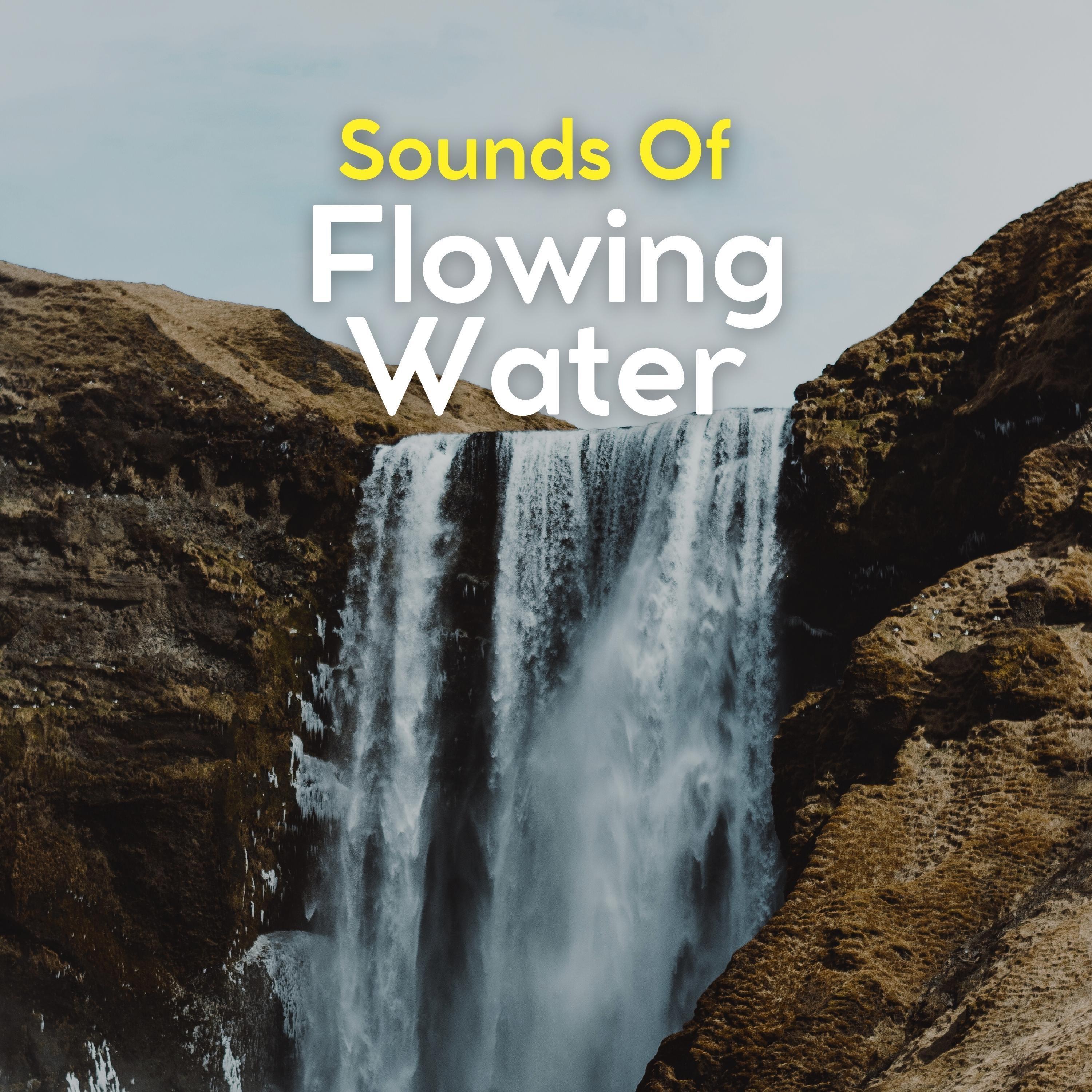 Top Asmr Tiktoks: Mikki Marie'S Relaxing Soundscapes - sy6pc6e