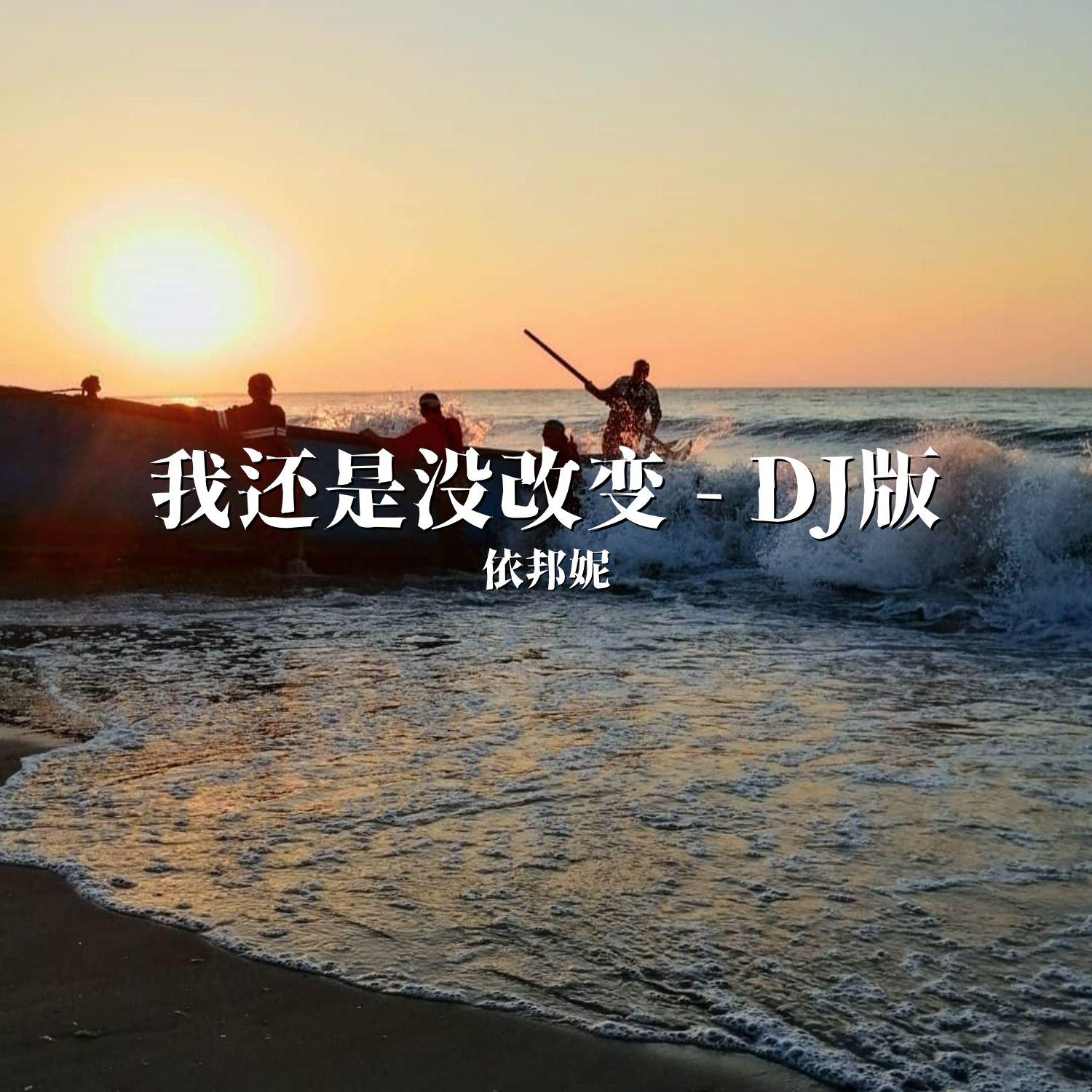 我还是没改变 (DJ版)封面