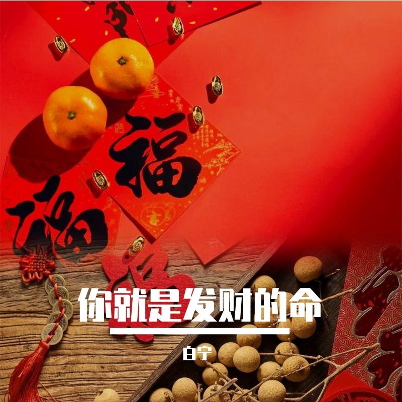 你就是发财的命封面