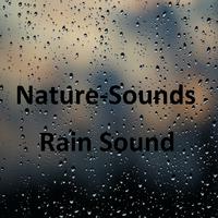 Rain Sound