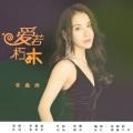 爱若朽木 (DJ何鹏版)封面