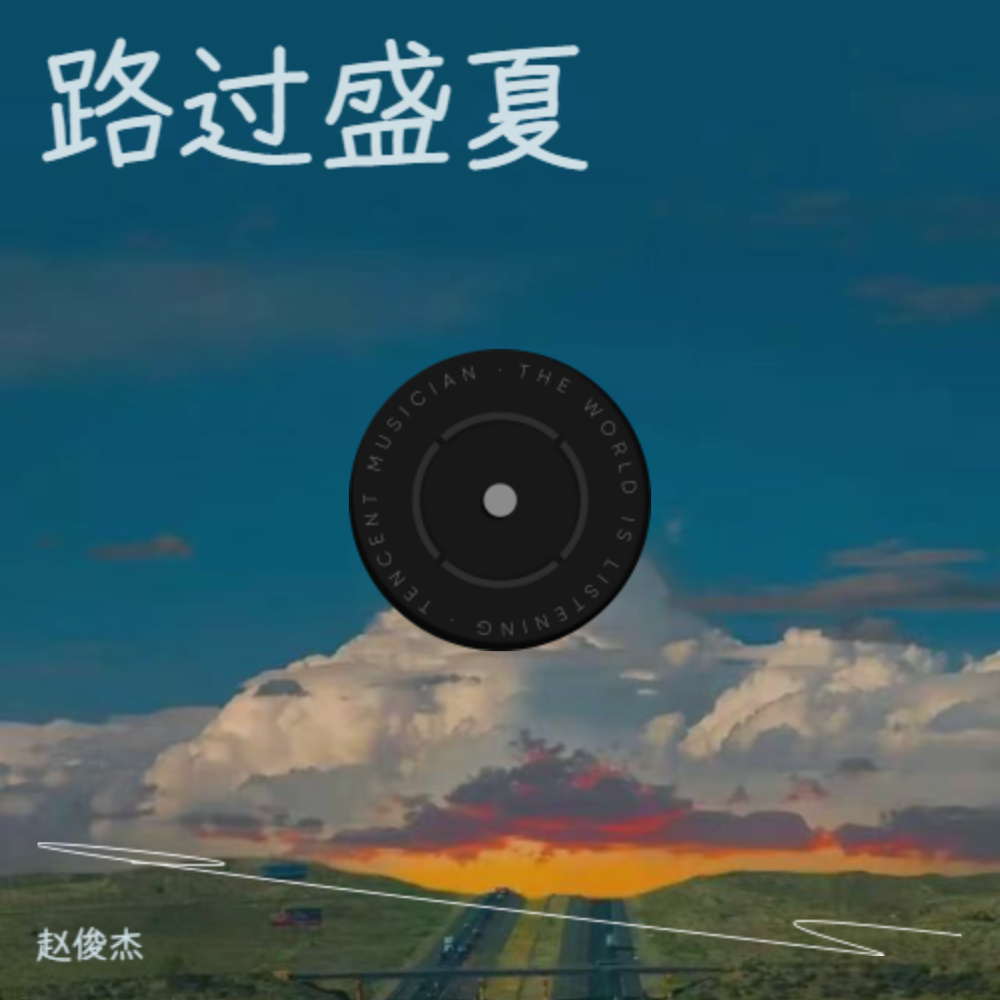 路过盛夏封面