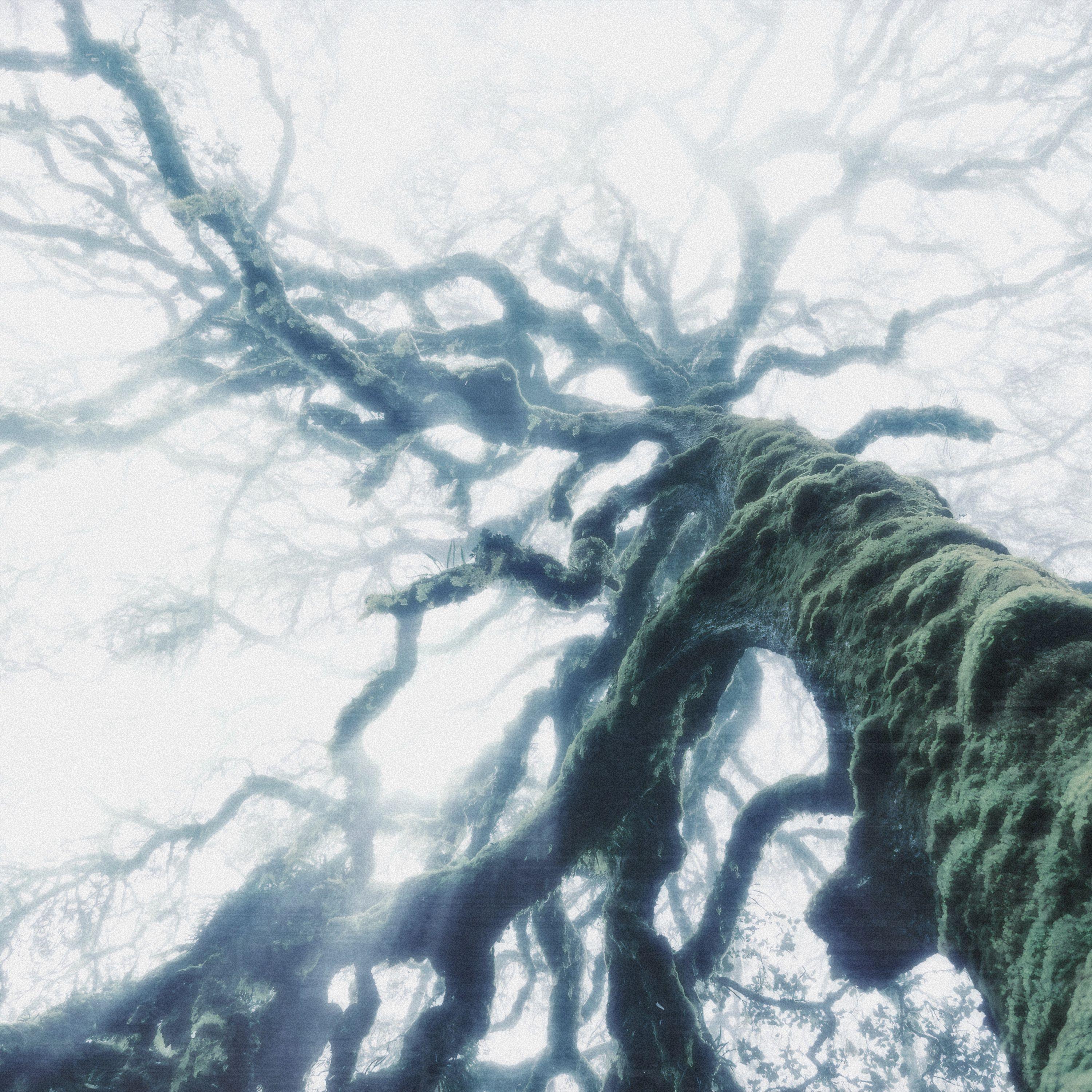 當我不再擁有感情