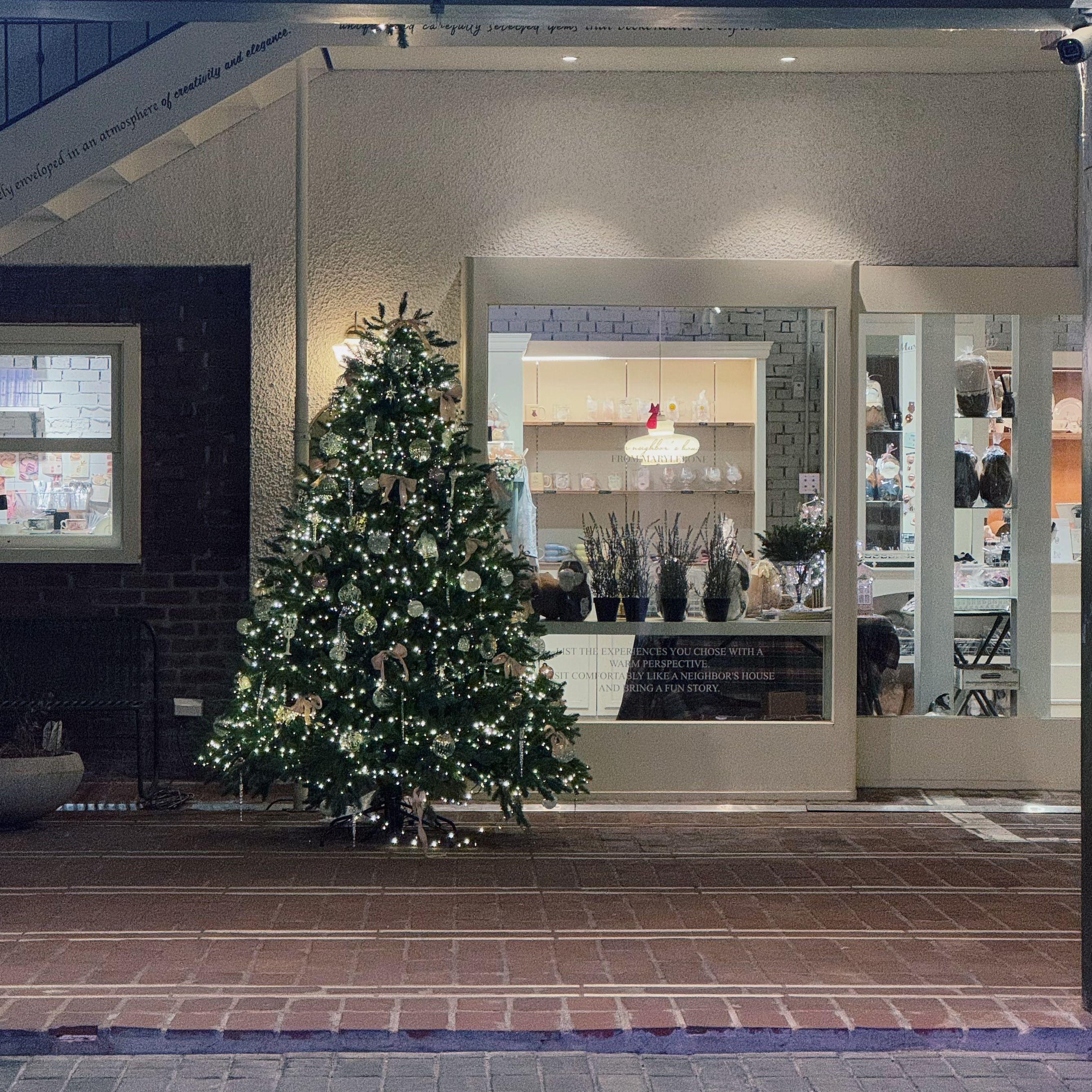 因为入夜了（밤이 되니까）（Cover Punch）