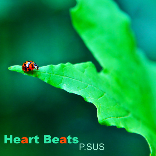 With Her_P.SUS_Heart Beats | 在线播放_With Her歌词_With Her下载 | 网易云音乐